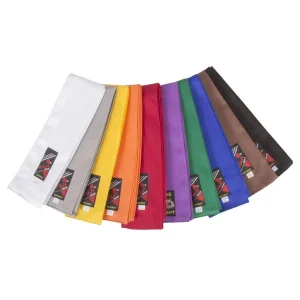 Ceinture de Kung Fu - FUJIMAE