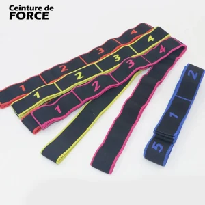 Barre elastique muscu