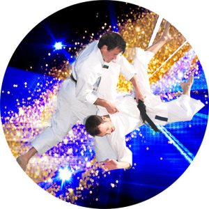 Pastille autocollante Judo 50 mm couleur