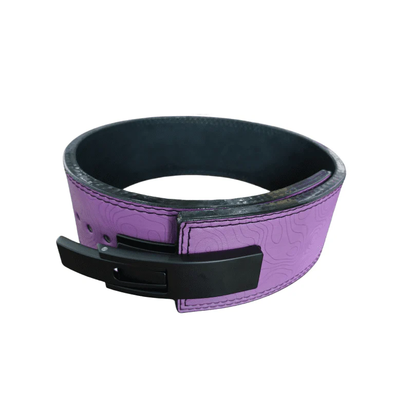 Ceinture de force Wario – Image 3