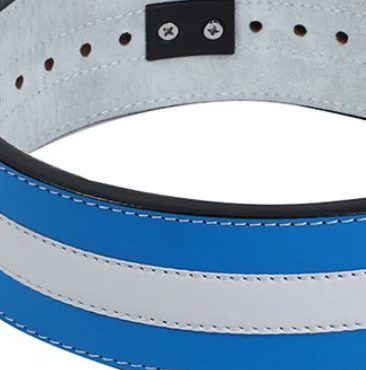 Ceinture de force bleu blanc – Image 4