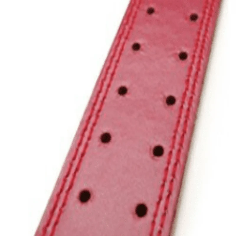 Ceinture de dos – Image 4