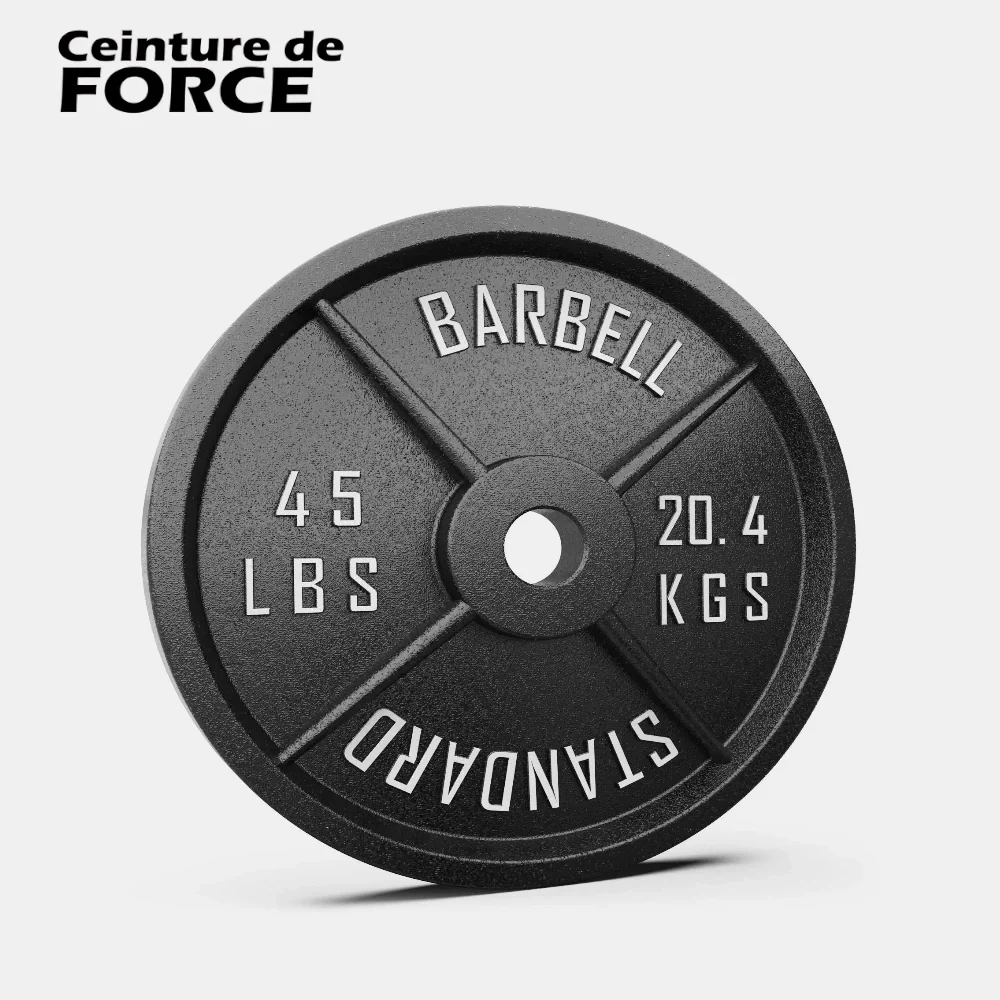 Disque fonte – Image 2