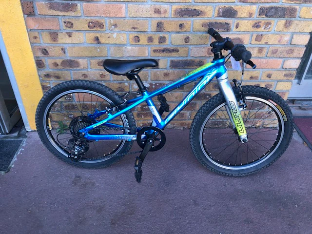 SUNN Tox 20'' – Image 2