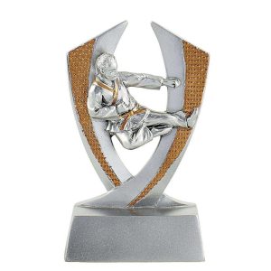 Trophée résine karate