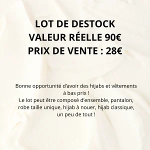 Lot de destockage massif