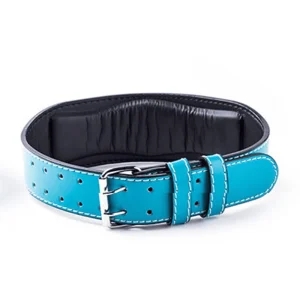Ceinture de musculation bleu
