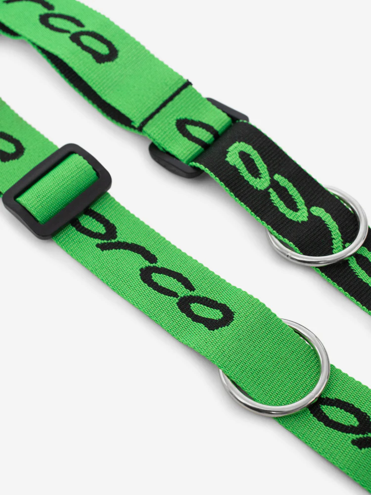 Ceinture Swimrun – Image 3