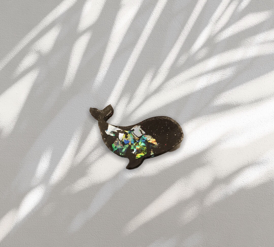 Baleine noire – Image 2