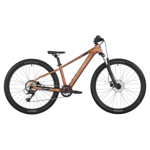 VTT SCOTT Roxter 600 2026